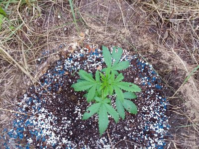 photo_2023-07-09_20-38-15.jpg photo_2023-07-09_20-38-15.jpg