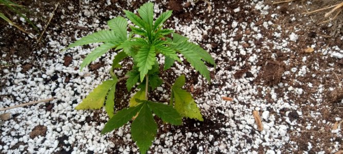 photo_2023-07-09_20-22-36.jpg photo_2023-07-09_20-22-36.jpg