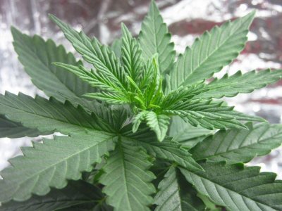 photo_2023-07-09_18-34-31 (3).jpg photo_2023-07-09_18-34-31 (3).jpg