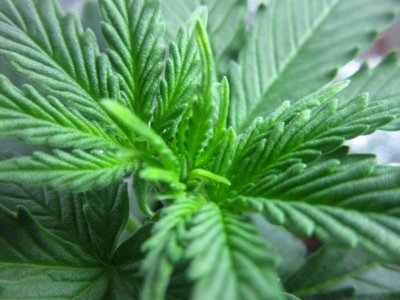 photo_2023-07-09_18-34-31 (5).jpg photo_2023-07-09_18-34-31 (5).jpg