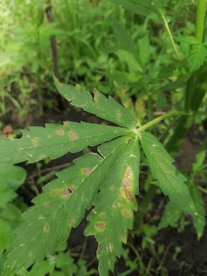 photo_2023-07-10_16-03-17 (2).jpg