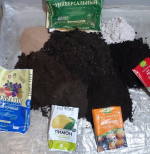 20230710_172358.jpg 20230710_172358.jpg