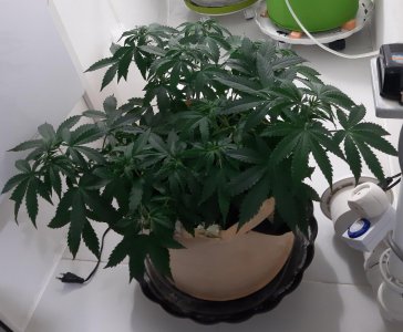 20230710_183429.jpg 20230710_183429.jpg