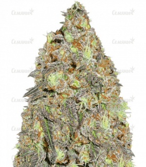 1639419594415.png 1639419594415.png