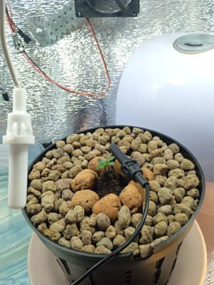 index2.jpg index2.jpg