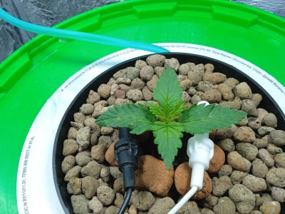 index2.jpg index2.jpg