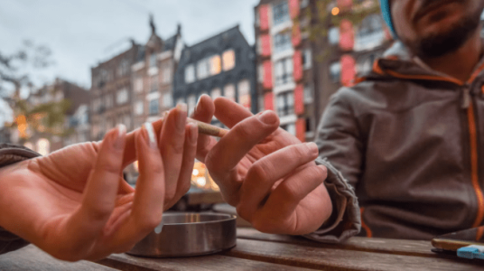 1640109515988.png 1640109515988.png