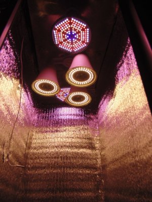 DSC00021.JPG DSC00021.JPG