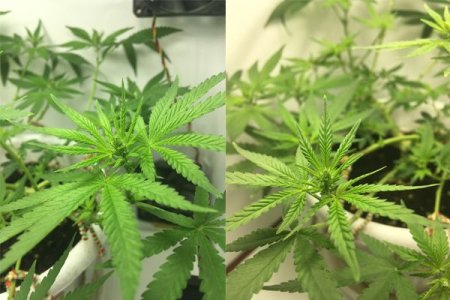 hfhfhfhf.jpg hfhfhfhf.jpg