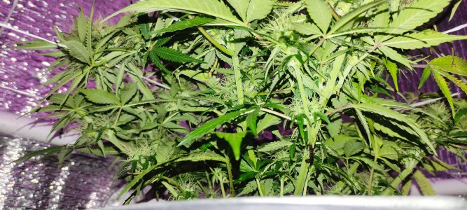 1640682655152-min.jpg 1640682655152-min.jpg