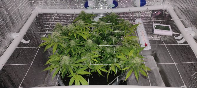 1640682655164-min.jpg 1640682655164-min.jpg