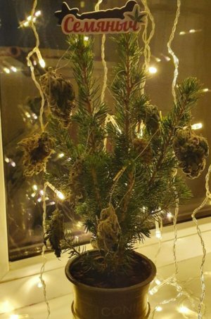 Lumii_20211231_225619695.jpg Lumii_20211231_225619695.jpg