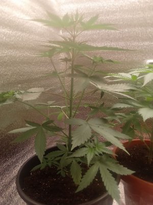 photo_2023-07-12_13-10-19 (2).jpg