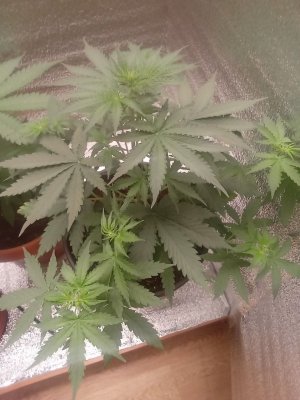 photo_2023-07-12_13-10-19 (5).jpg