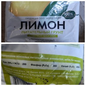 Сад Чудес Лимон.jpg Сад Чудес Лимон.jpg