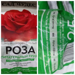 Роза Сад Чудес.jpg Роза Сад Чудес.jpg