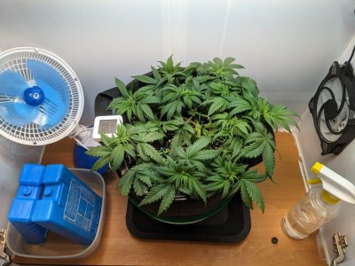 PXL_20230713_002923062.MP.jpg PXL_20230713_002923062.MP.jpg