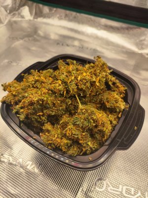 bnkgBXsmWCg.jpg bnkgBXsmWCg.jpg