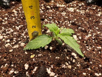 BB0966B6-D24A-4972-8B7B-05D4F12430F4.jpeg BB0966B6-D24A-4972-8B7B-05D4F12430F4.jpeg