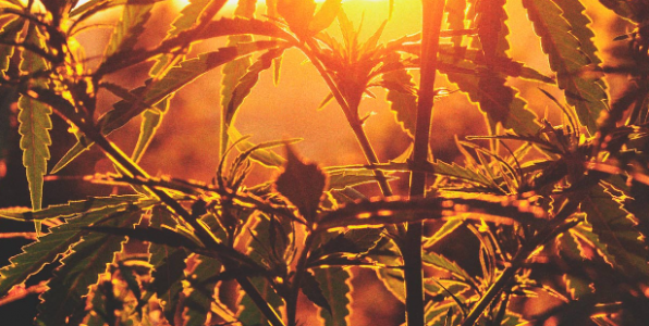 1689269133362.png 1689269133362.png