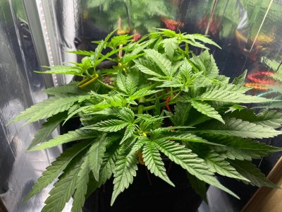 photo_2023-07-14_15-53-15.jpg photo_2023-07-14_15-53-15.jpg