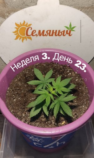 Picsart_23-07-14_22-04-01-179.jpg Picsart_23-07-14_22-04-01-179.jpg