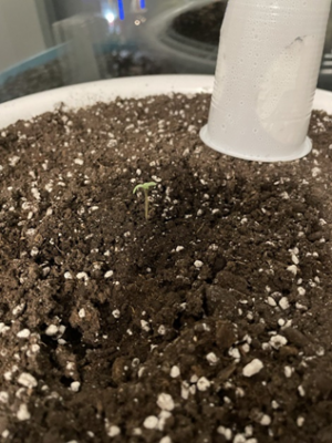 1689407563031.png 1689407563031.png