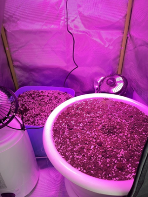 1689408378250.png 1689408378250.png