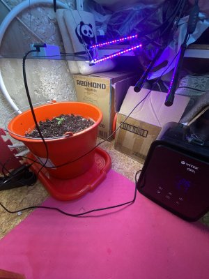 IMG_8853.jpeg IMG_8853.jpeg