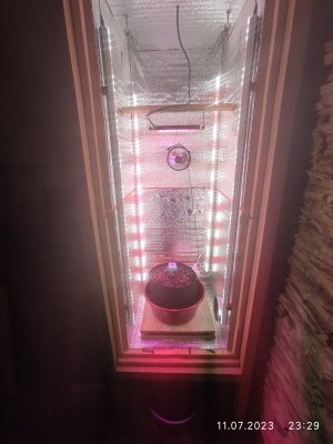 IMG_20230711_232928.jpg IMG_20230711_232928.jpg