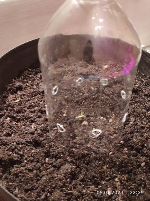 IMG_20230705_222507.jpg IMG_20230705_222507.jpg