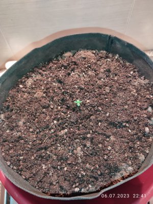 IMG_20230706_224128.jpg IMG_20230706_224128.jpg