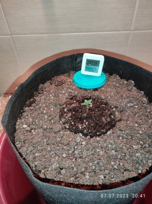 IMG_20230707_204143.jpg IMG_20230707_204143.jpg