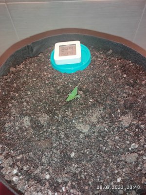 IMG_20230708_234808.jpg IMG_20230708_234808.jpg