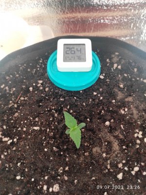 IMG_20230709_232642.jpg IMG_20230709_232642.jpg