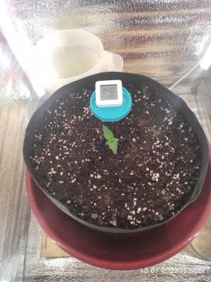 IMG_20230710_220610.jpg IMG_20230710_220610.jpg