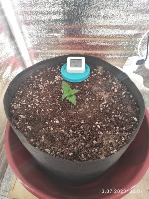 IMG_20230713_000145.jpg IMG_20230713_000145.jpg