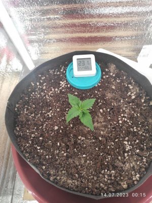 IMG_20230714_001533.jpg IMG_20230714_001533.jpg