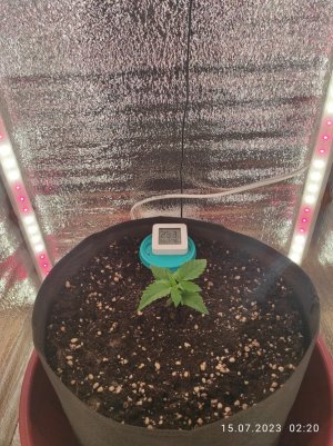 IMG_20230715_022010.jpg IMG_20230715_022010.jpg