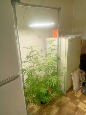 IMG20230717112227.jpg IMG20230717112227.jpg