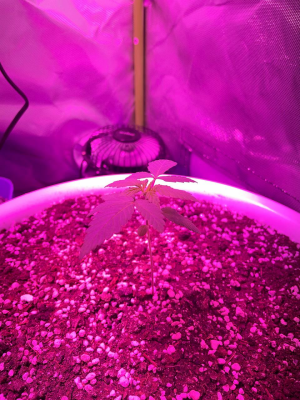 1689573030874.png 1689573030874.png