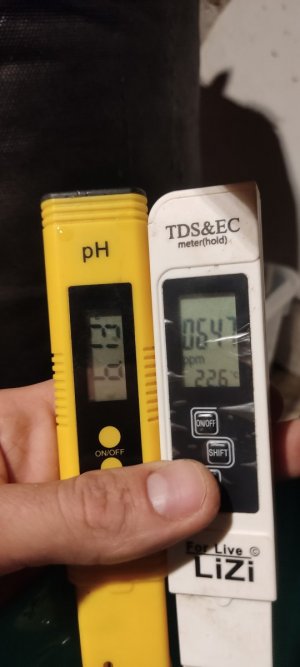 IMG_20230722_124925.jpg IMG_20230722_124925.jpg