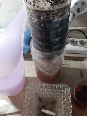 20230802_191249.jpg 20230802_191249.jpg