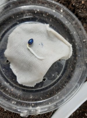 20230802_181451.jpg 20230802_181451.jpg