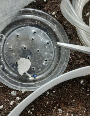 20230802_181425.jpg 20230802_181425.jpg