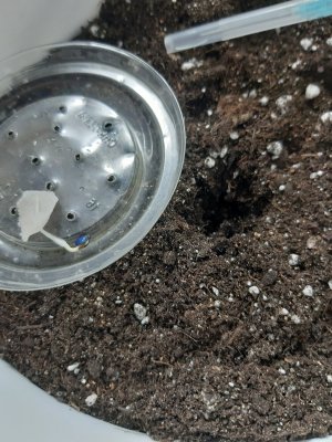 20230802_181357.jpg 20230802_181357.jpg