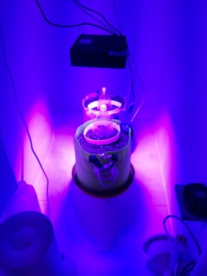 20230802_181239.jpg 20230802_181239.jpg