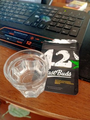 IMG20230803174341.jpg IMG20230803174341.jpg