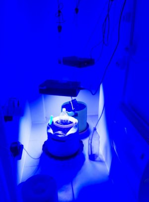 20230511_162341.jpg 20230511_162341.jpg