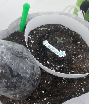 20230803_201852.jpg 20230803_201852.jpg